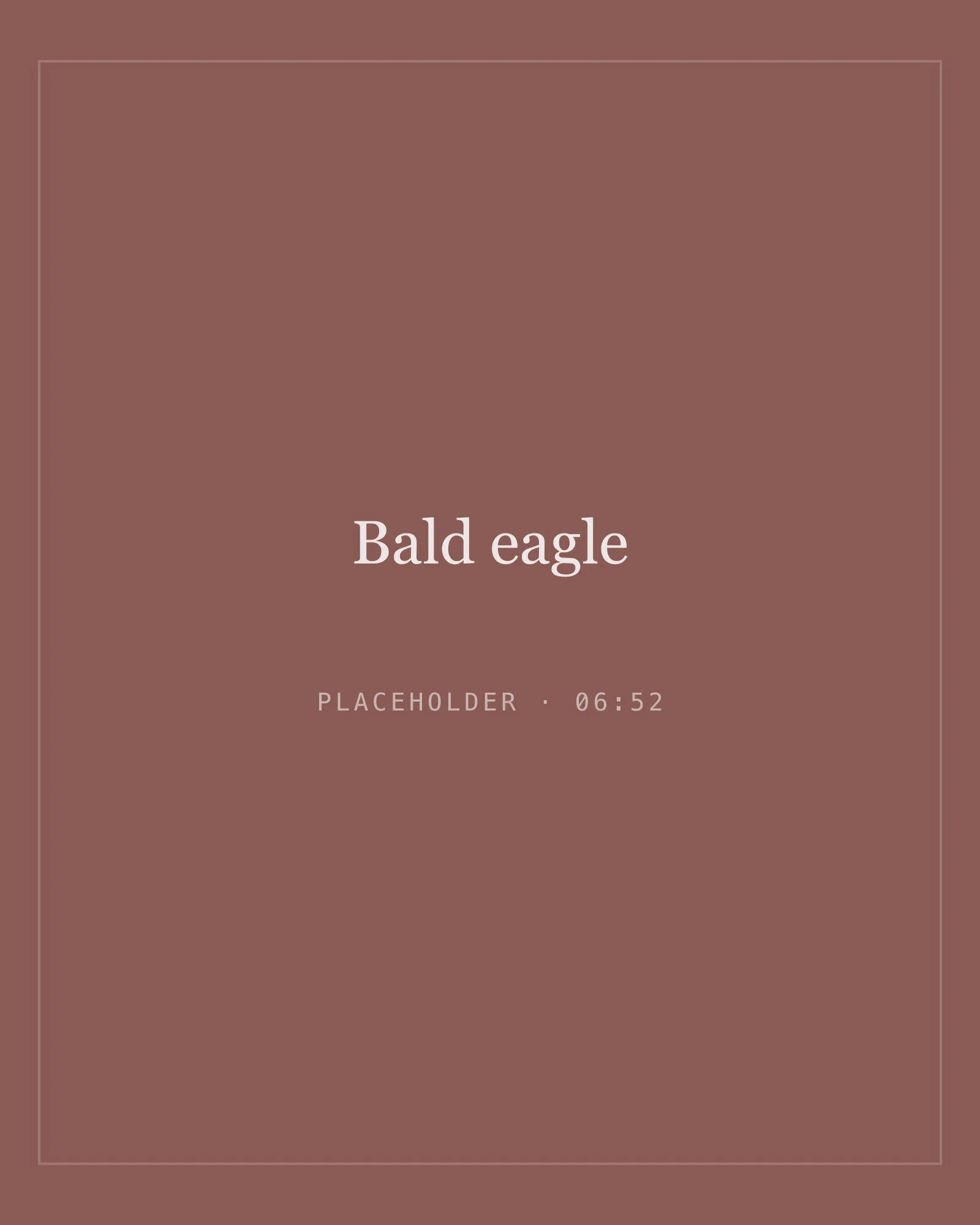 Placeholder image for bald eagle