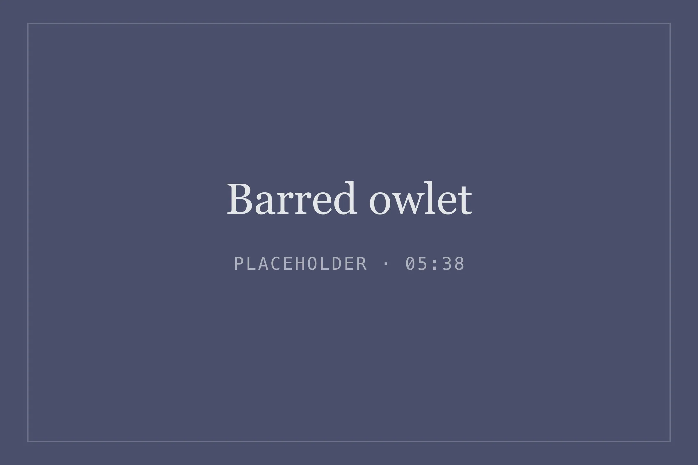 Placeholder image for barred owlet