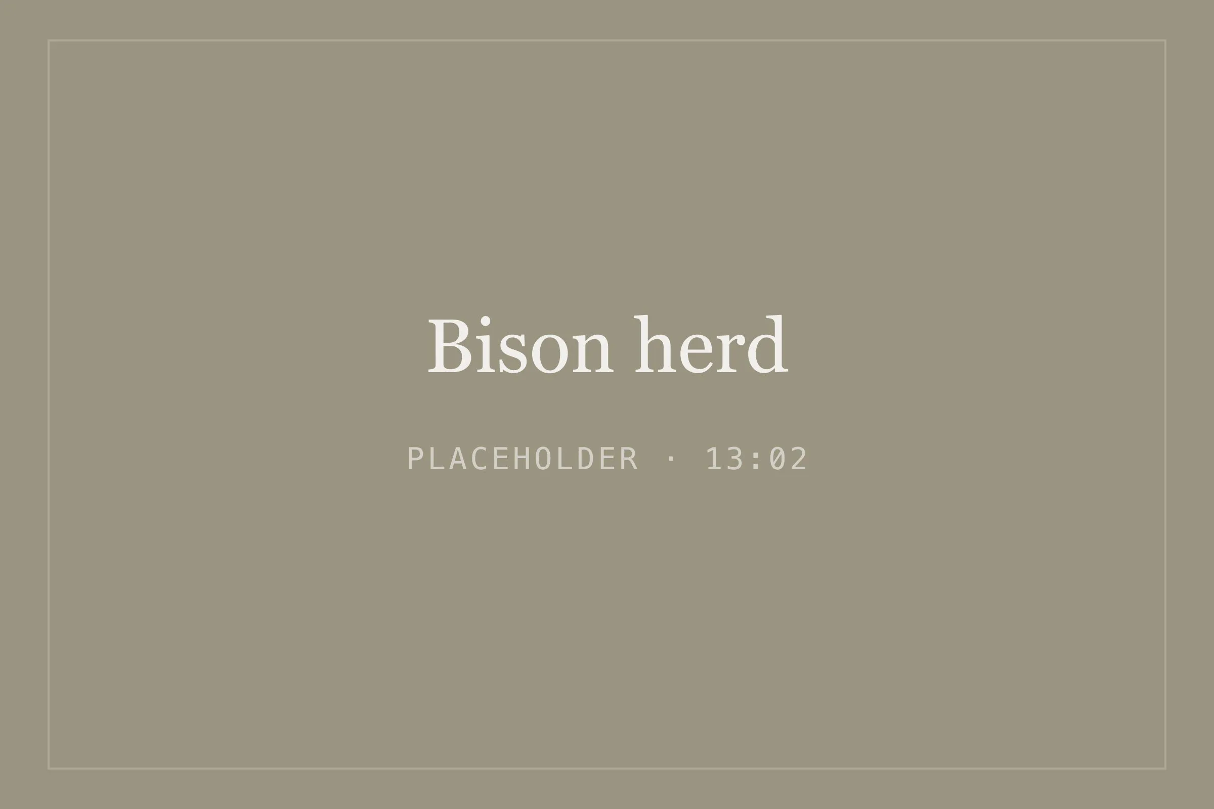 Placeholder image for bison herd