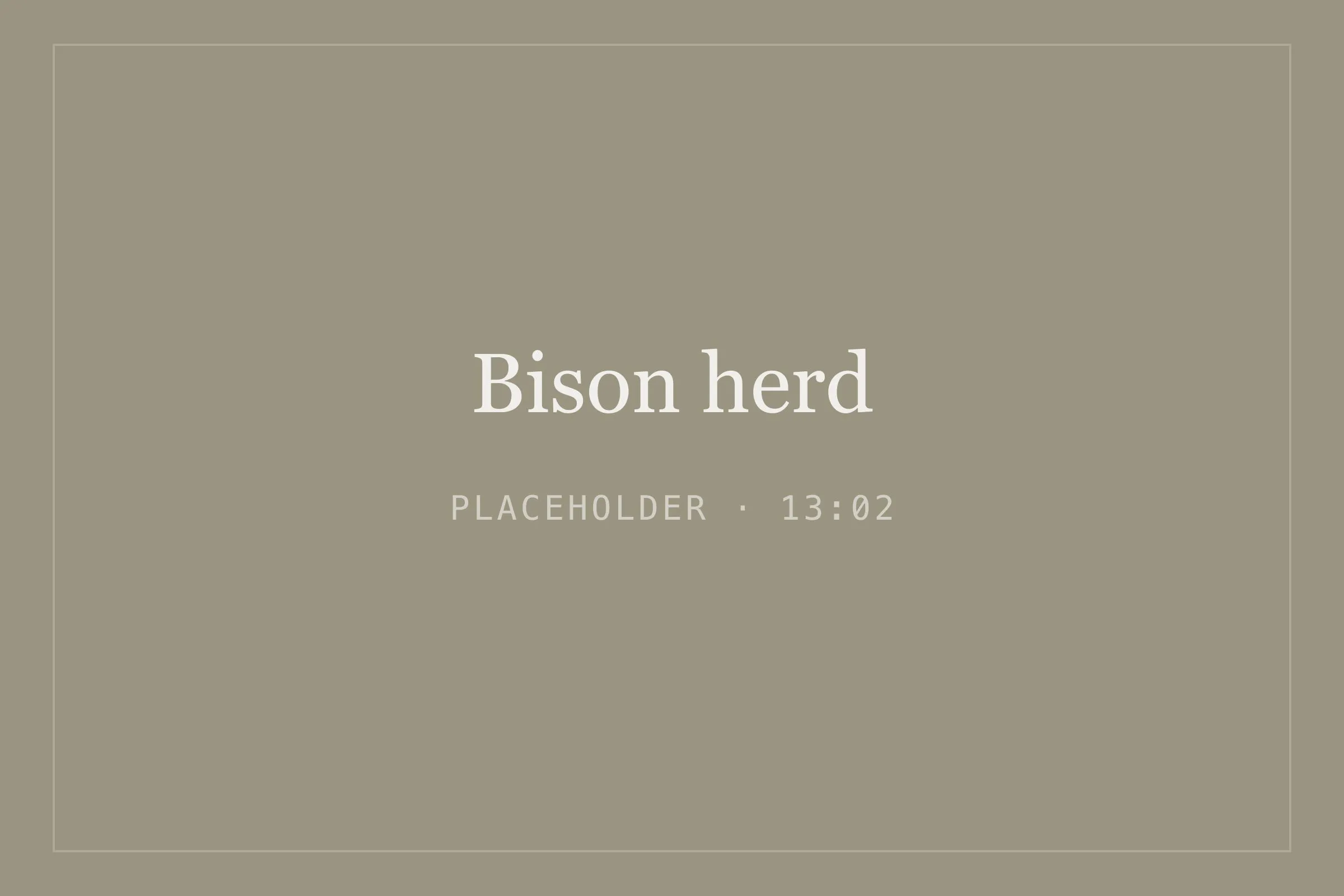 Placeholder image for bison herd