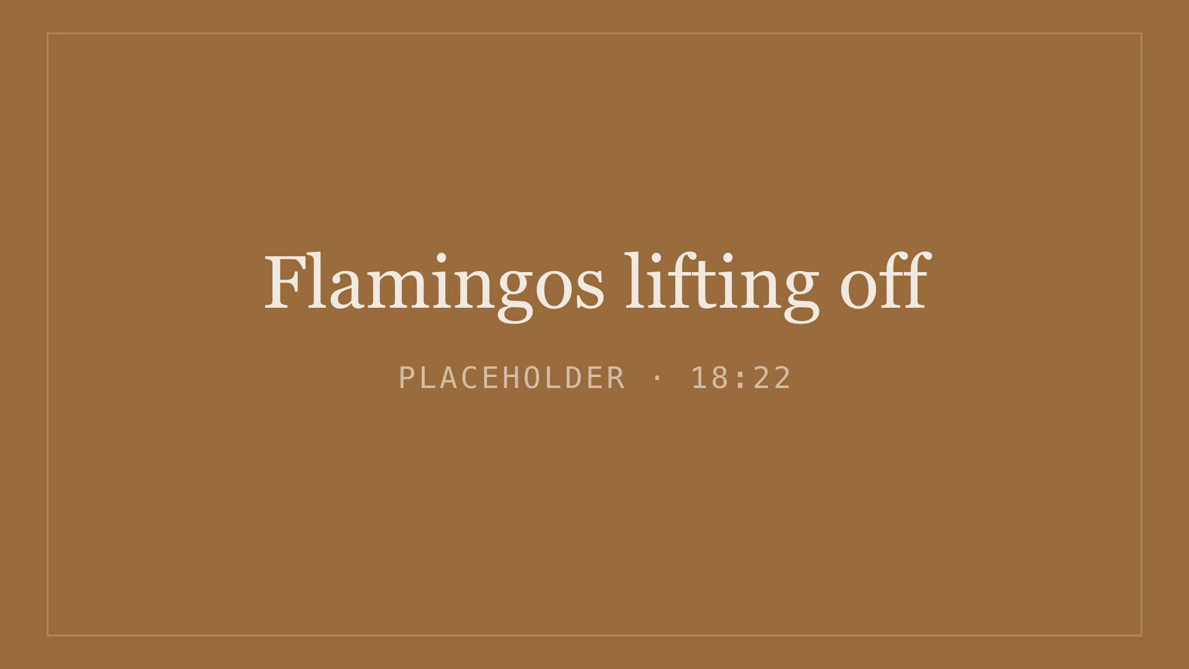 Placeholder image for flamingos lifting off
