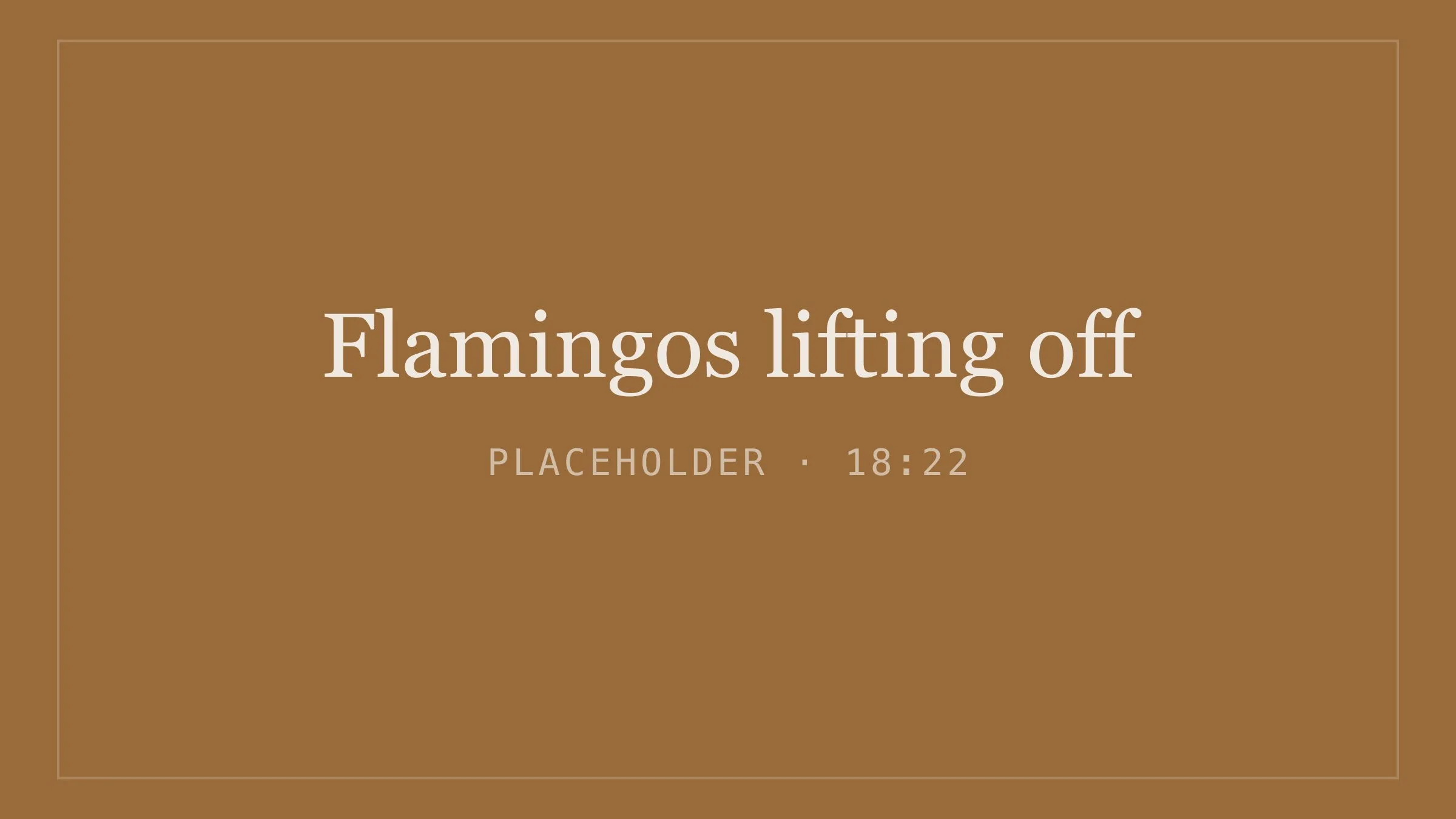 Placeholder image for flamingos lifting off
