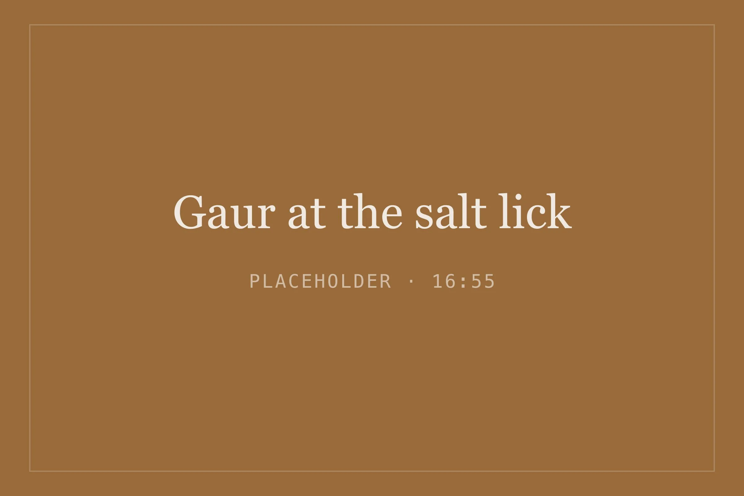 Placeholder image for gaur at the salt lick