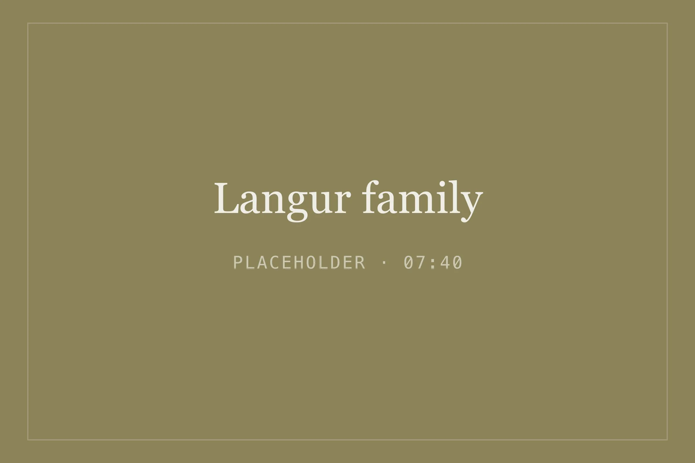 Placeholder image for langur family