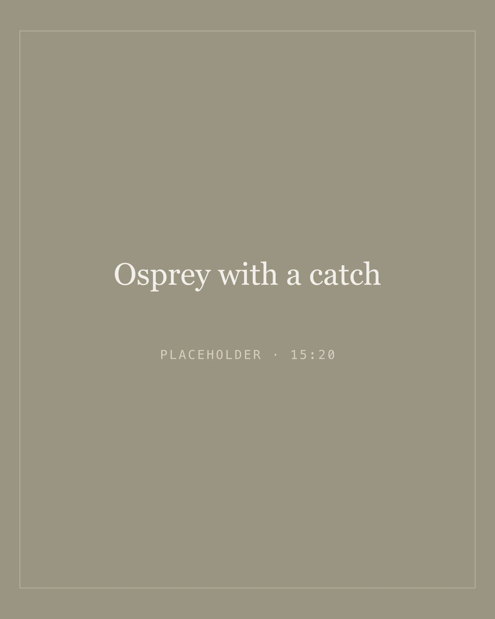 Placeholder image for osprey with a catch