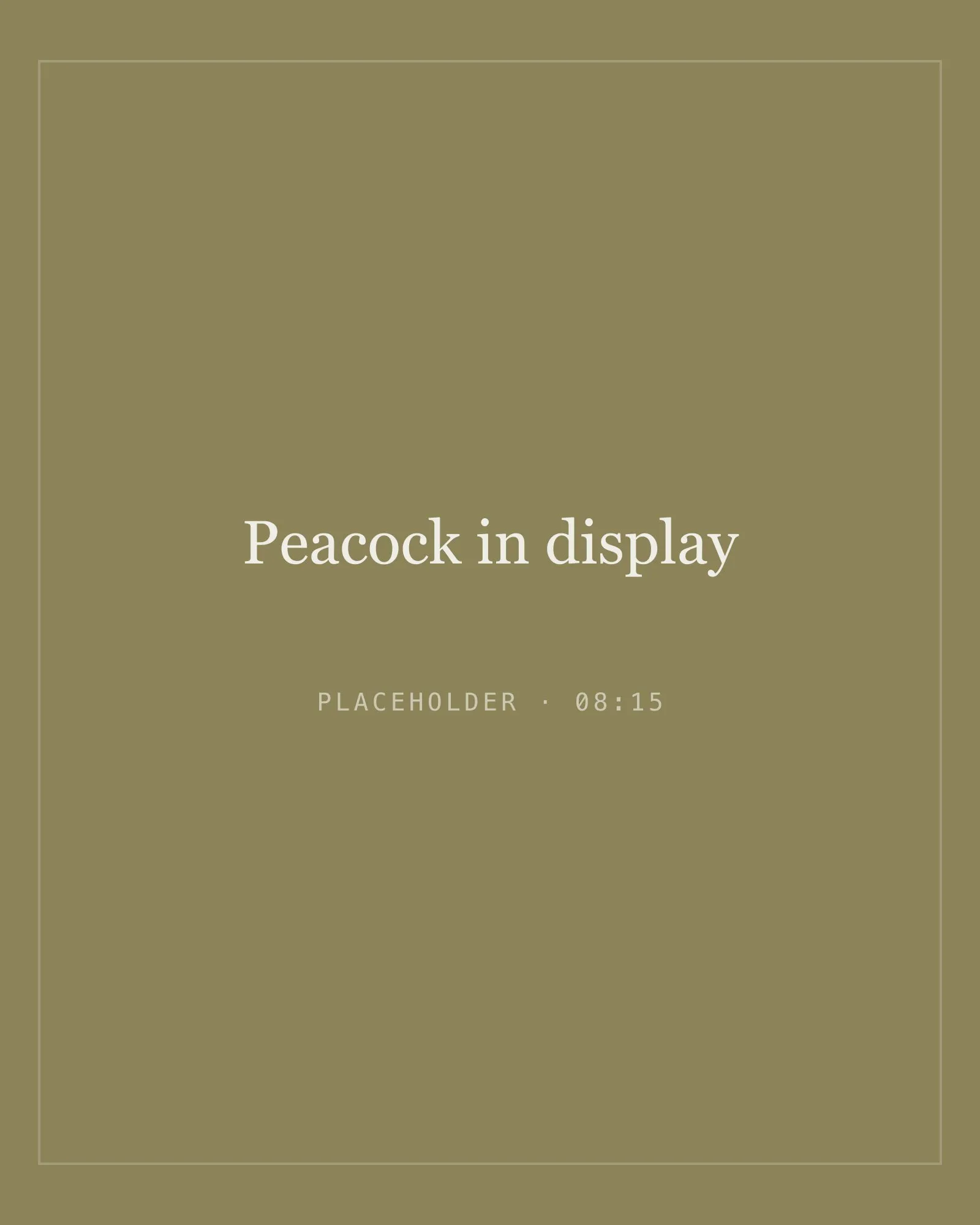 Placeholder image for peacock in display