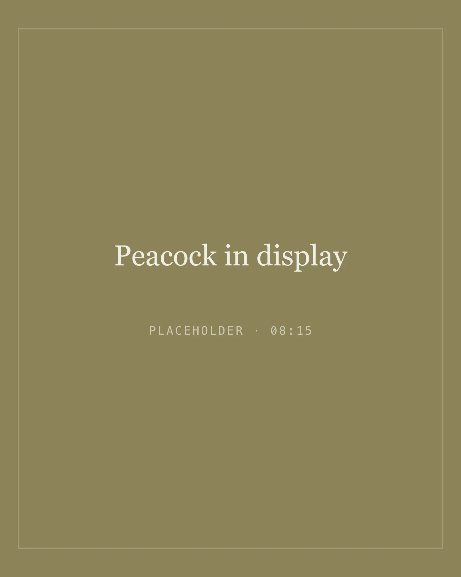 Placeholder image for peacock in display