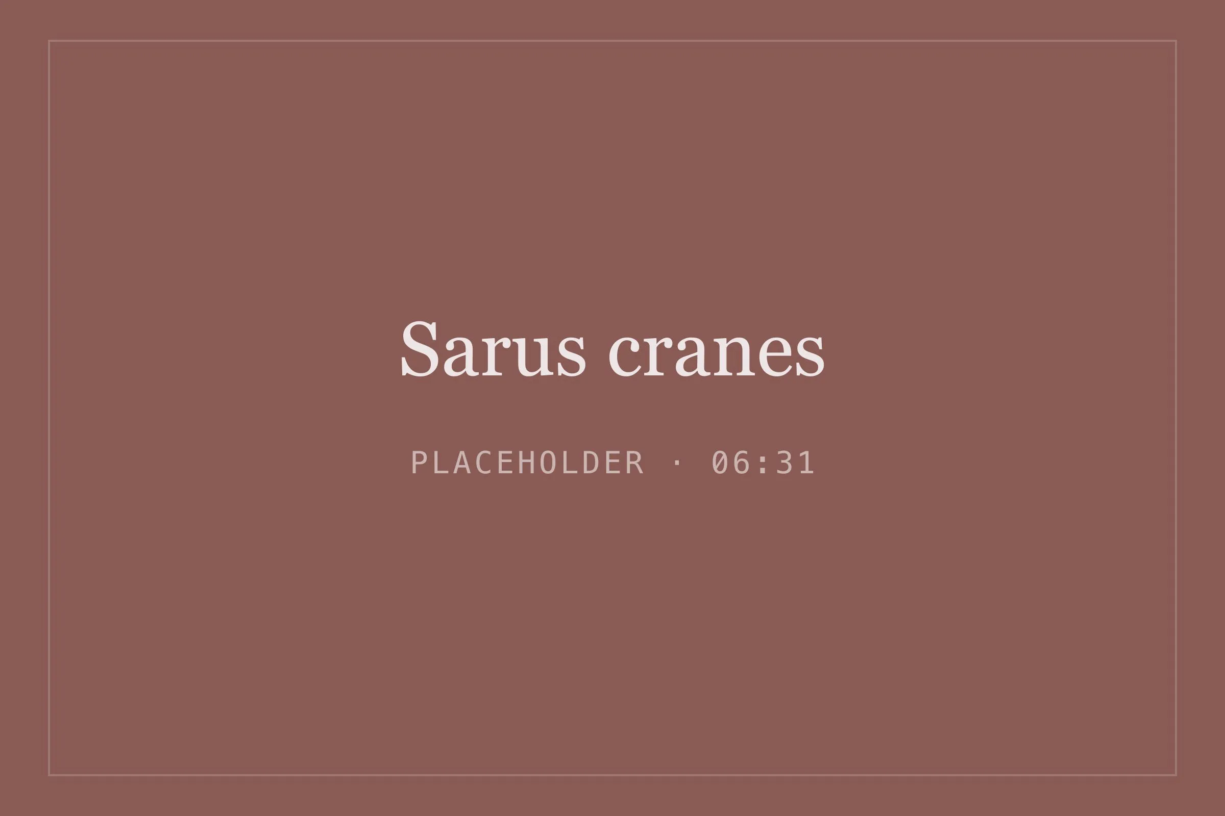 Placeholder image for sarus cranes