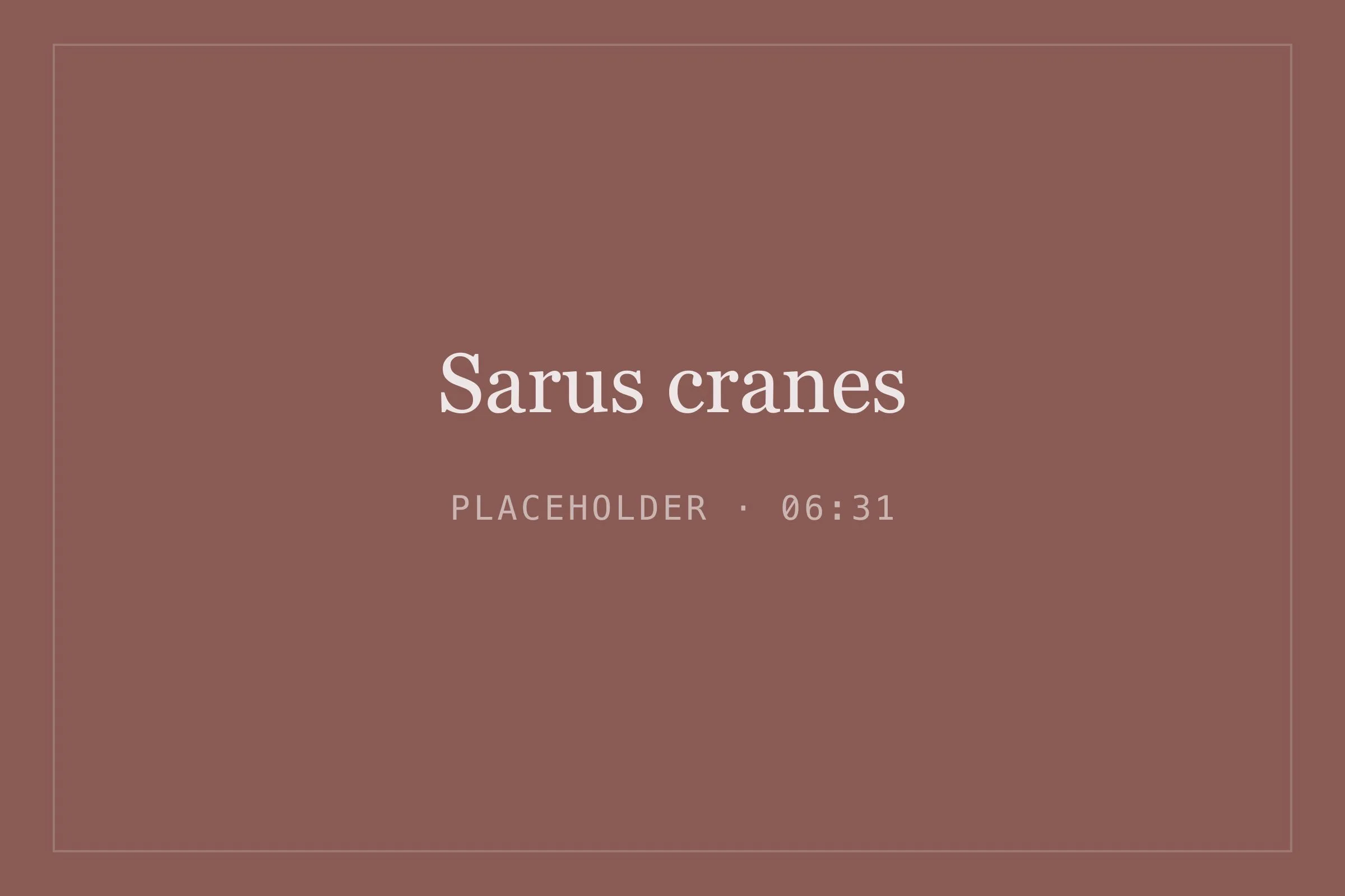 Placeholder image for sarus cranes